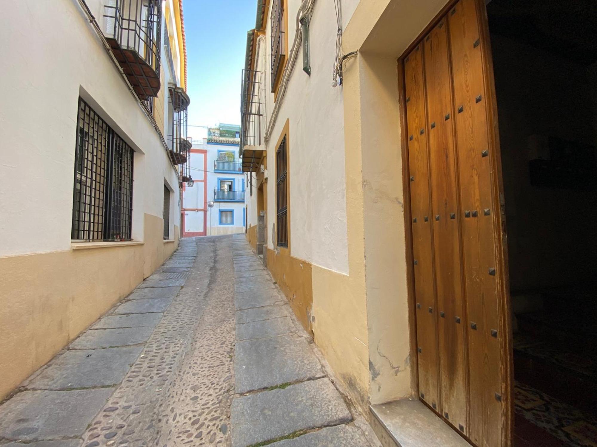 Suites Del Mar Y Suite De Cordoba - Apartmentos En Pleno Centro Esterno foto
